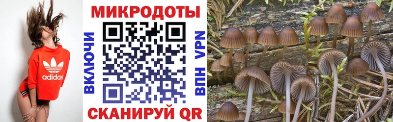 Галлюциногенные грибы мухоморы Белая Холуница